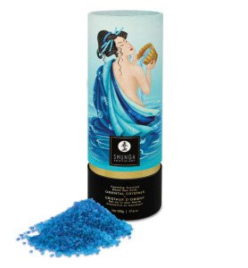 Découvrez notre fabuleux sel de bain érotique, un cosmétique conçu pour un instant de bien-être sensuel en couple.