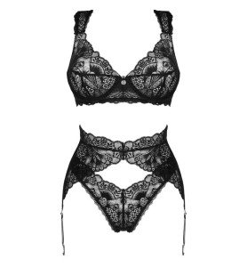 Chic Bra, Thong and Garter...